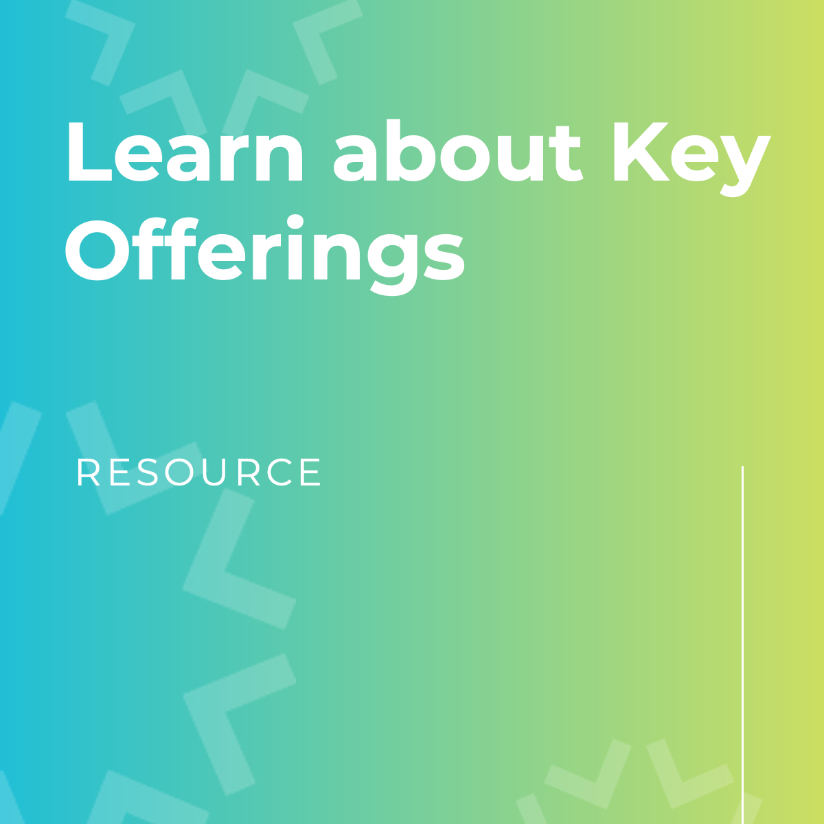 Key Offerings